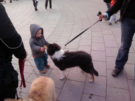 Belinka má ráda děti:-)